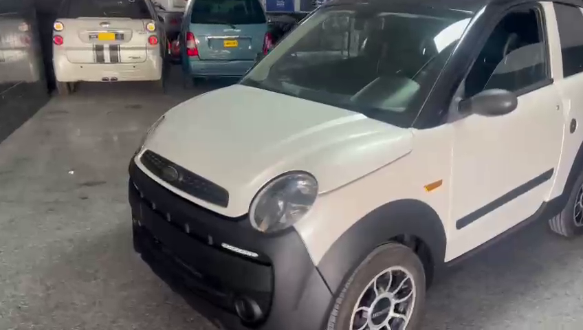 coche-sin-carne-microcar-mgo2
